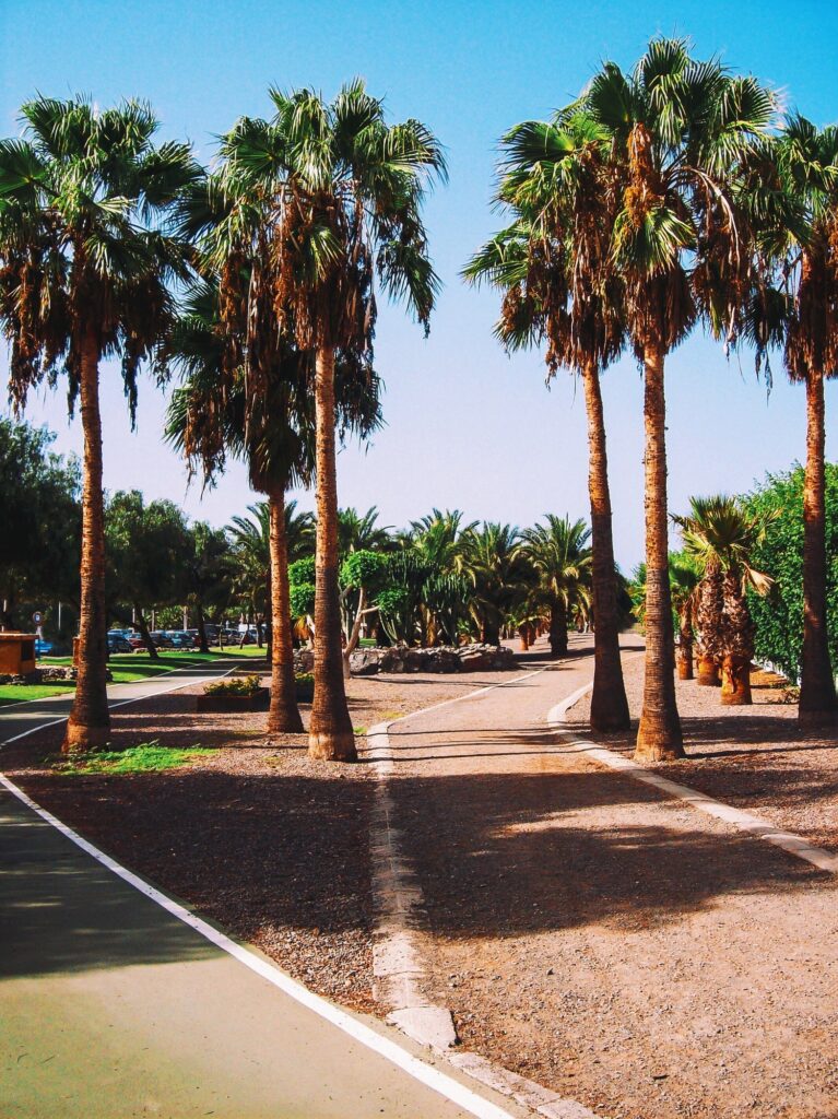 Gran Canaria